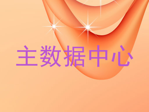 主数据中心