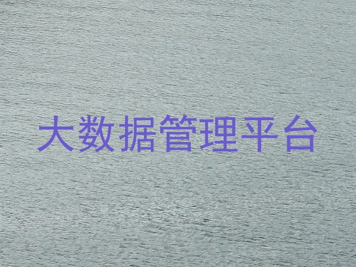 大数据管理平台