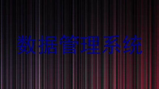 数据管理系统