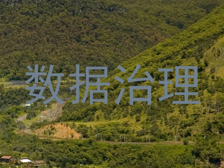 数据治理
