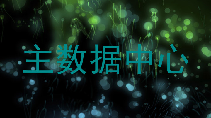主数据中心