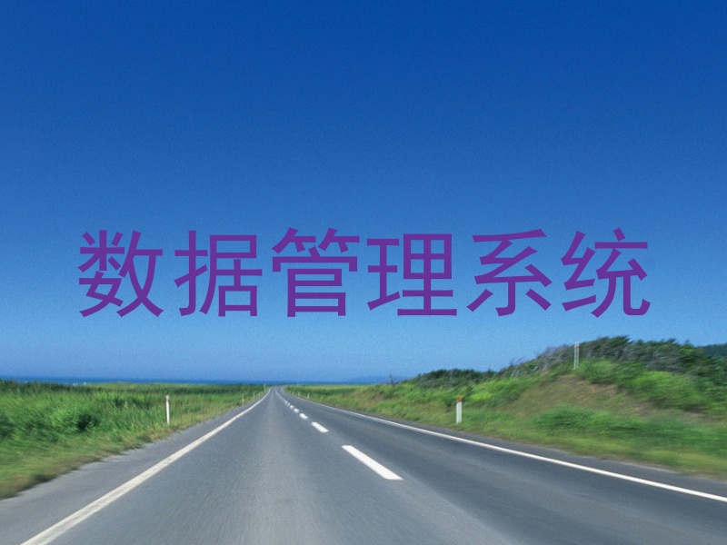 数据管理系统