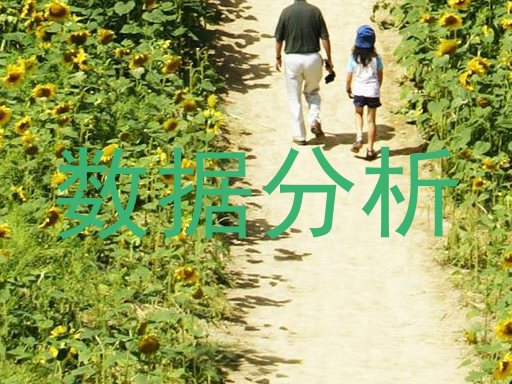 数据分析