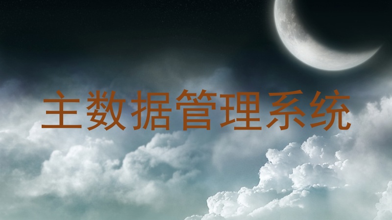 主数据管理系统