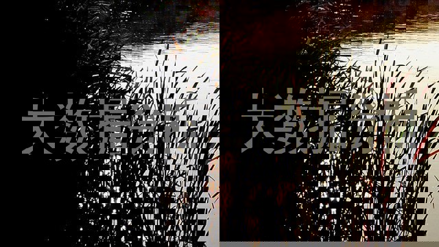 大数据分析