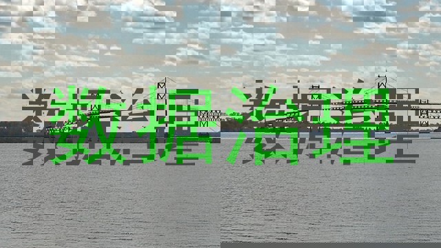 数据治理