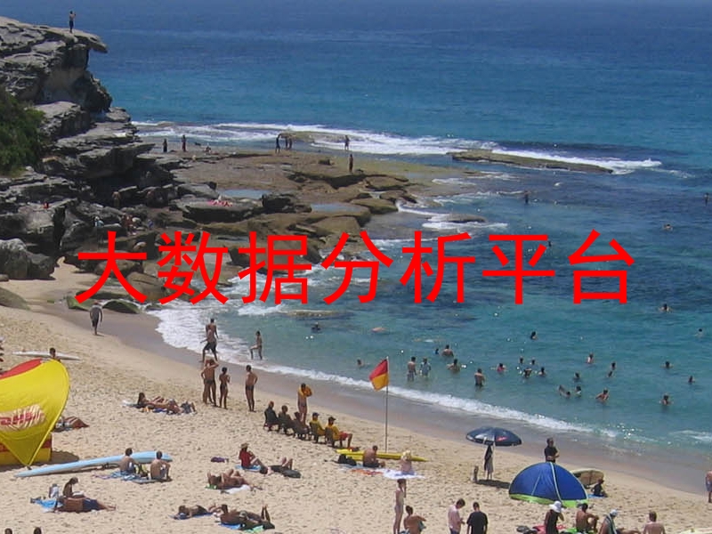 大数据分析平台