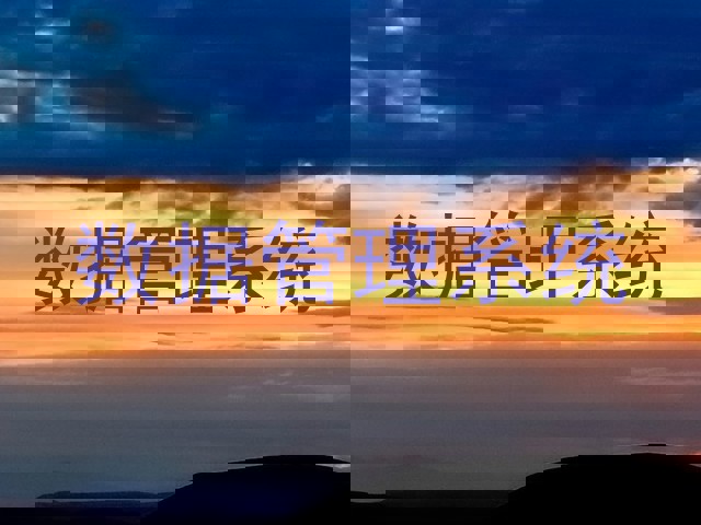 数据管理系统