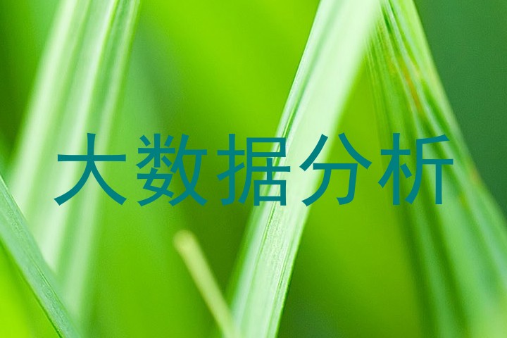 大数据分析