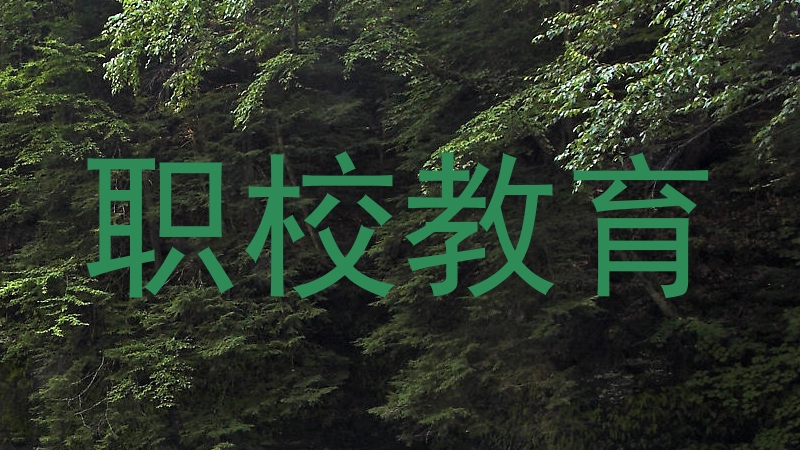 职校教育