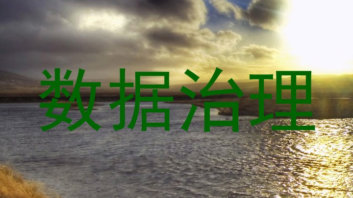 数据治理
