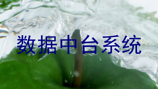 数据中台系统