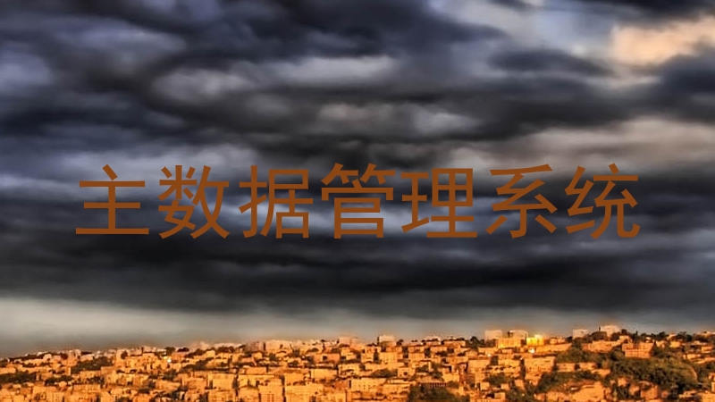 主数据管理系统
