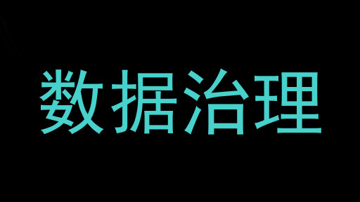 数据治理