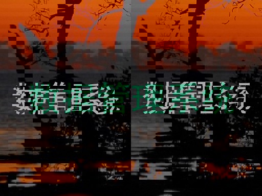 数据管理系统