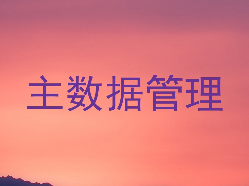主数据管理