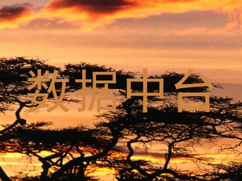 数据中台