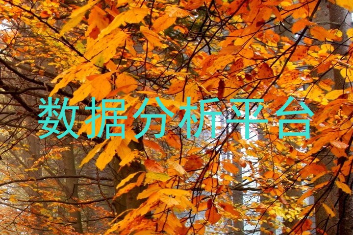 数据分析平台