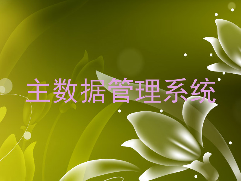 主数据管理系统