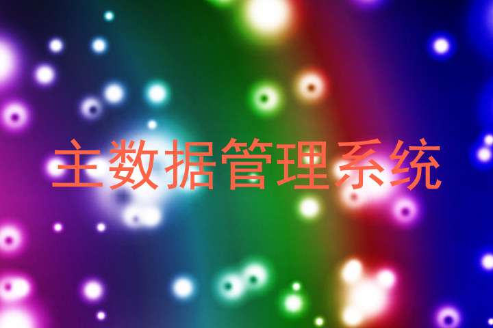 主数据管理系统
