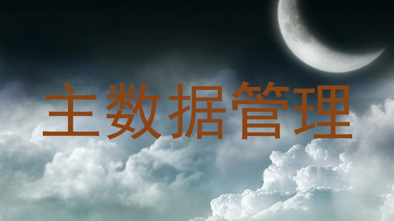 主数据管理