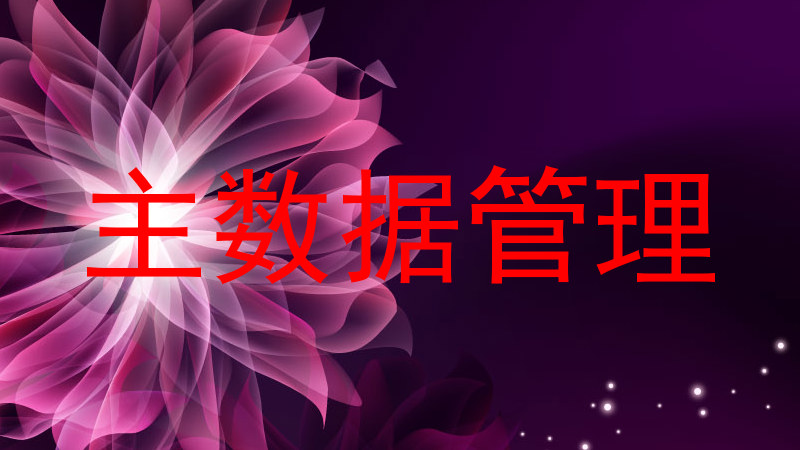 主数据管理