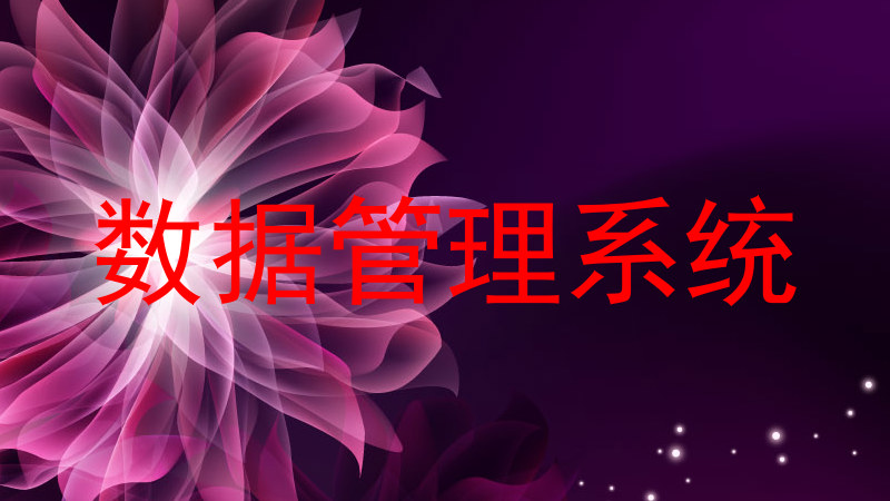 数据管理系统