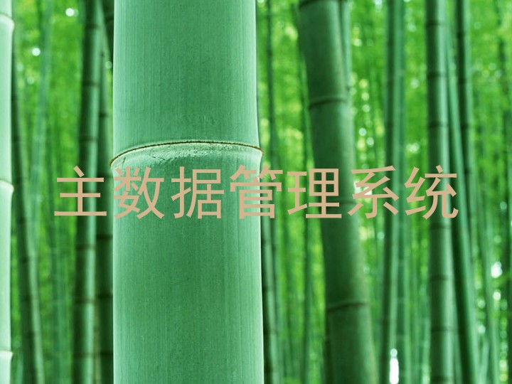 主数据管理系统