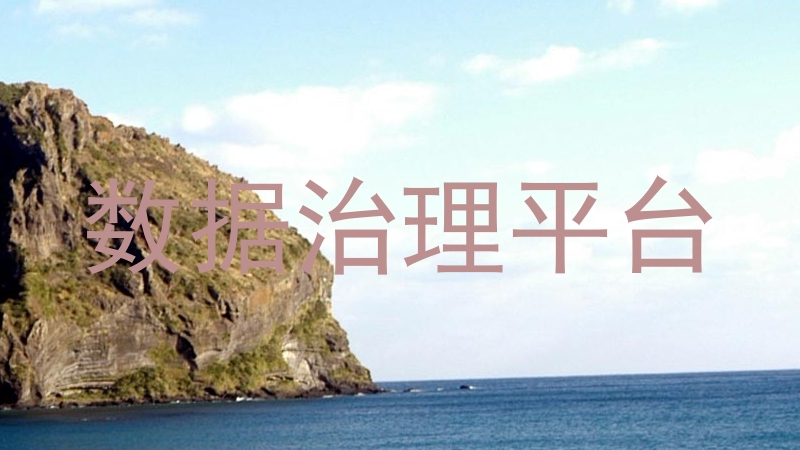 数据治理平台