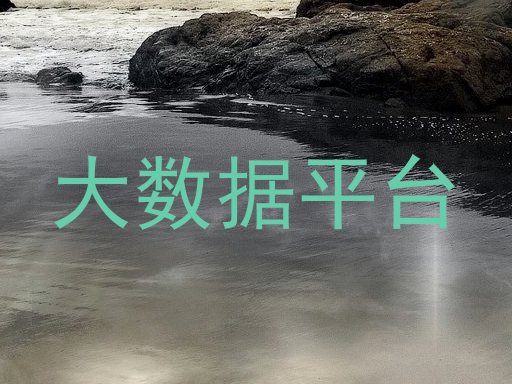 大数据平台