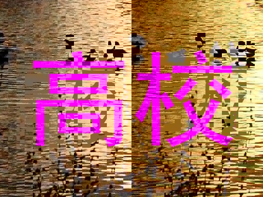 高校