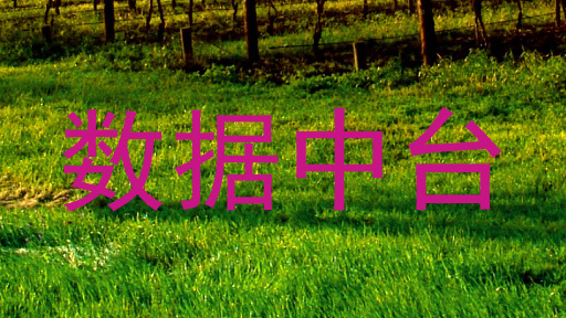 数据中台