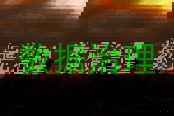 数据治理