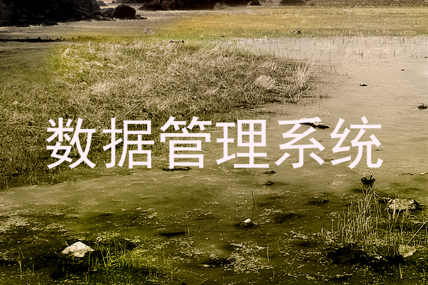 数据管理系统