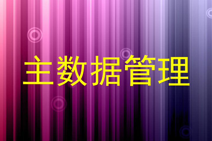 主数据管理