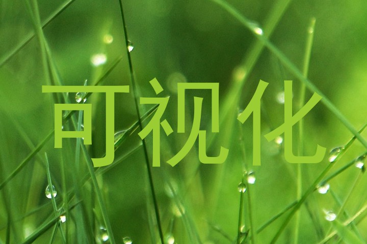 可视化