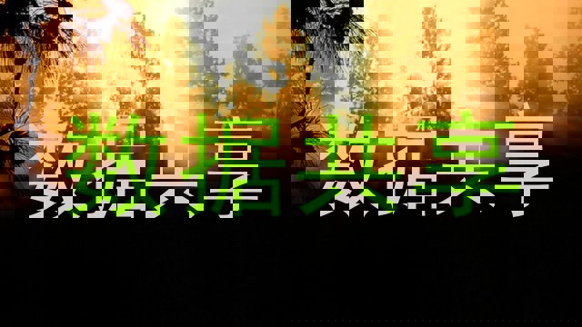 数据共享