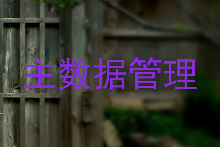 主数据管理