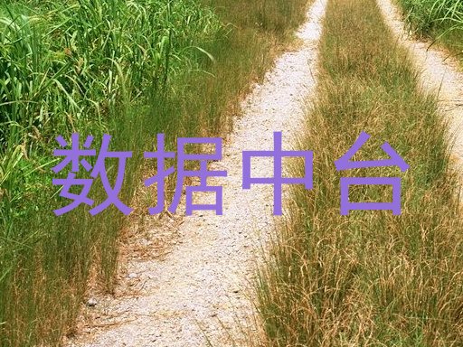 数据中台
