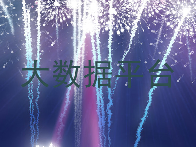 大数据平台