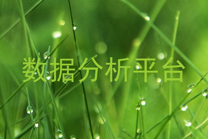 数据分析平台