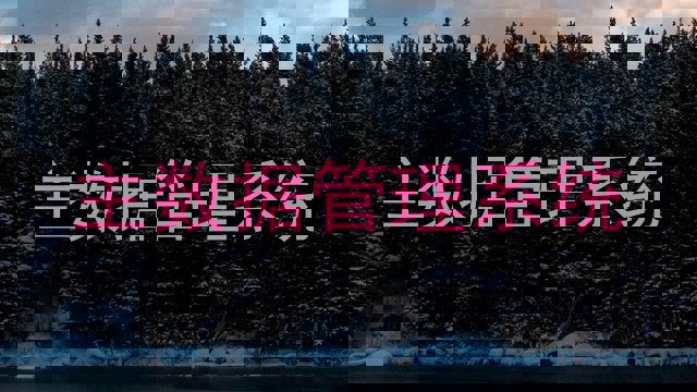 主数据管理系统