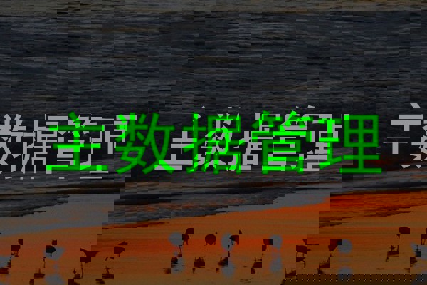 主数据管理