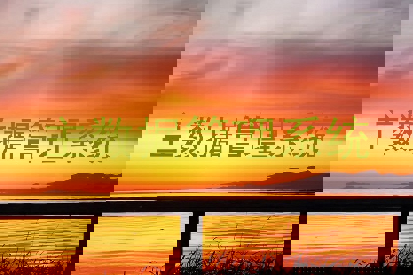 主数据管理系统