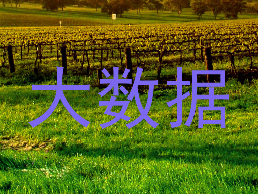 大数据