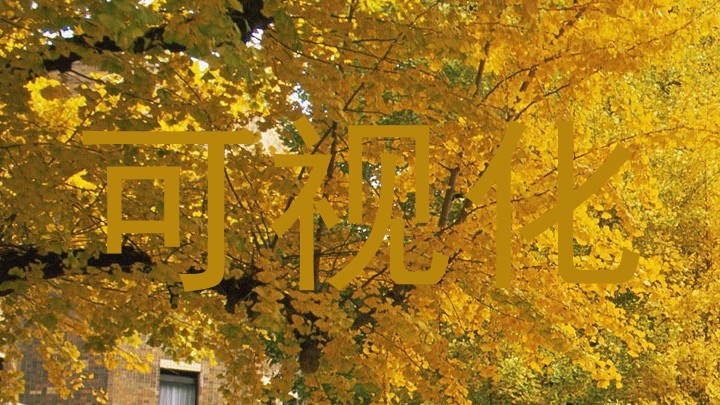 可视化