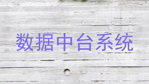 数据中台系统