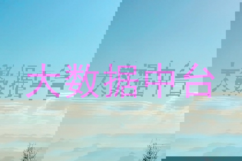 大数据中台