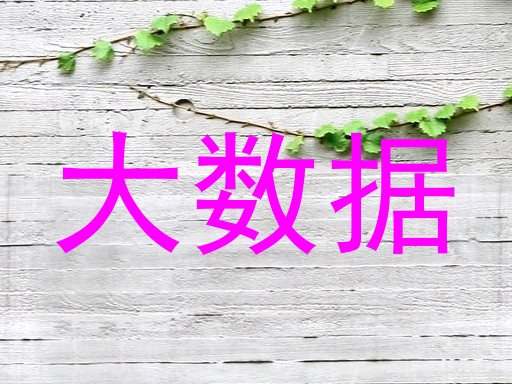 大数据