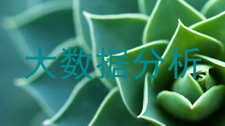 大数据分析